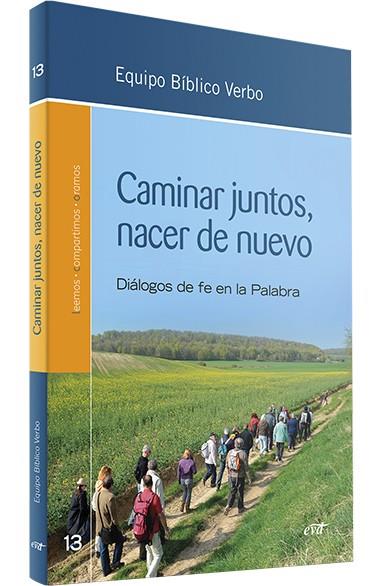 CAMINAR JUNTOS, NACER DE NUEVO | 9788490738092 | EQUIPO BÍBLICO VERBO/EQUIPO BÍBLICO VERBO