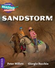 SANDSTORM | 9781107576070
