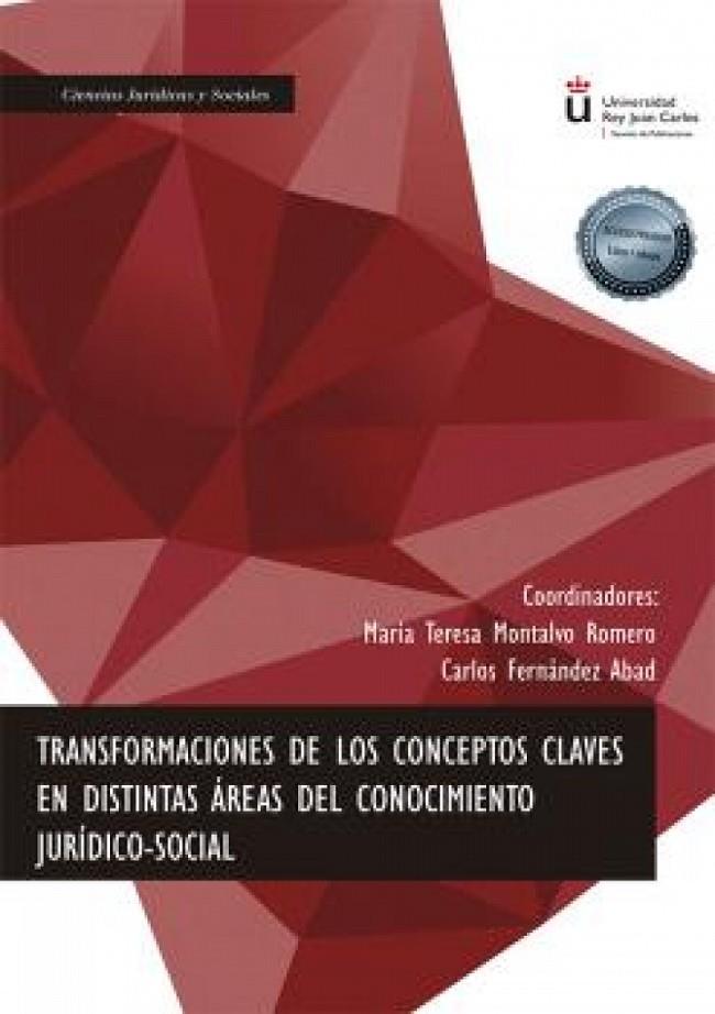 TRANSFORMACIONES DE LOS CONCEPTOS CLAVES EN DISTINTAS ÁREAS DEL CONOCIMIENTO JURÍDICO-SOCIAL | 9788413771892 | MONTALVO ROMERO, MARÍA TERESA