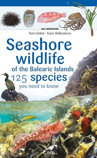 SEASHORE WILDLIFE OF THE BALEARIC ISLANDS | 9788413562728 | BALLESTEROS SAGARRA, ENRIC