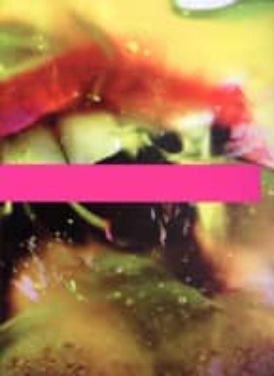 MARILYN MINTER | 9788496898547 | LA CONSERVERA. ARTE CONTEMPORÁNEO