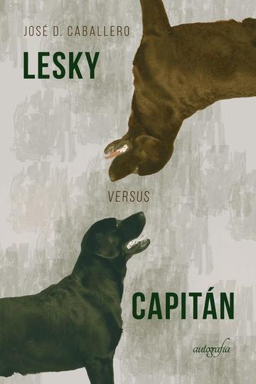 LESKY VERSUS CAPITÁN | 9788418337307 | D. CABALLERO, JOSÉ