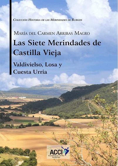 SIETE MERINDADES DE CASTILLA VIEJA, LAS - TOMO II | 9788417267889 | ARRIBAS MAGRO, MARÍA DEL CARMEN