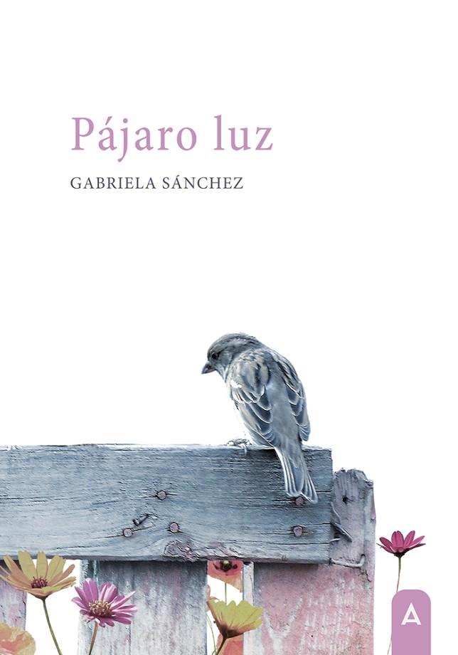 PÁJARO LUZ | 9788410374294 | SANCHEZ, GABRIELA