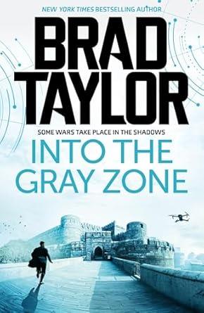 INTO THE GRAY ZONE | 9781837933358 | TAYLOR, BRAD