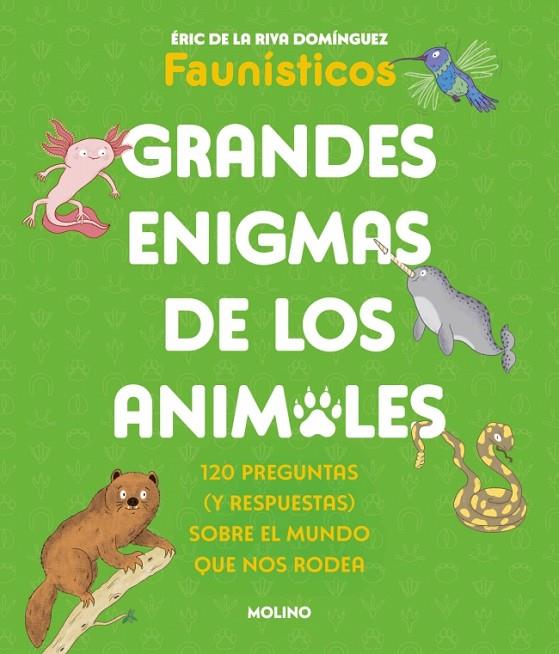 GRANDES ENIGMAS DE LOS ANIMALES | 9788427253698 | DE LA RIVA DOMÍNGUEZ, ÉRIC (FAUNÍSTICOS)