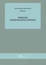 DERECHO INTERNACIONAL PÚBLICO | 9791370064471