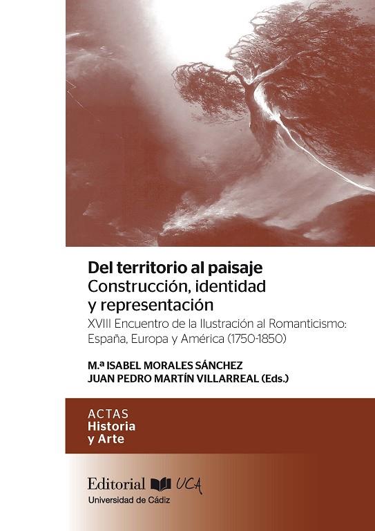 DEL TERRITORIO AL PAISAJE : CONSTRUCCIÓN, IDENTIDAD Y REPRESENTACIÓN | 9788498287684