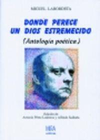 DONDE PERECE UN DIOS ESTREMECIDO | 9788488688644 | LABORDETA, MIGUEL