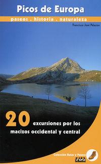PICOS DE EUROPA | 9788482162003 | PALACIOS RAMIREZ DE ARELLANO, FRANCISCO JOSE