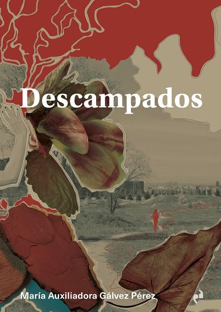 DESCAMPADOS | 9788419050212 | GALVEZ PEREZ, Mª AUXILIADORA