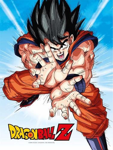 POSTER DE VIDRIO GOKU KAME DRAGON BALL Z 30X40 CM | 8435450249969