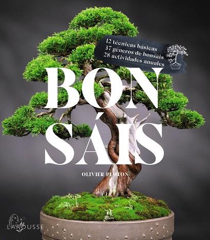 BONSÁIS | 9788419436610 | SAMSON, RÉMY;SAMSON, ISABELLE