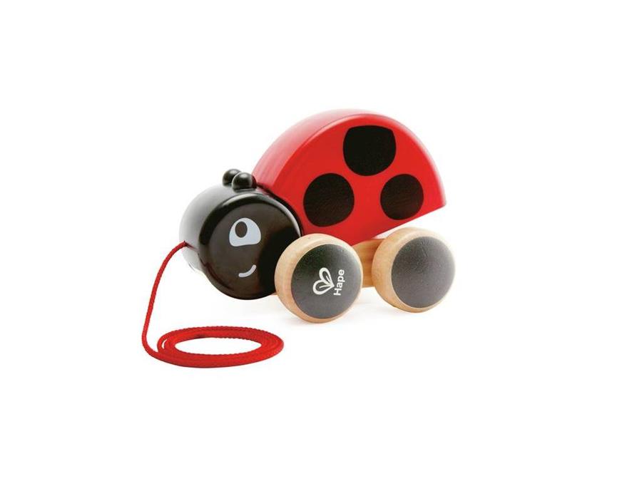 PULL ALONG LADY BUG | 6943478025073
