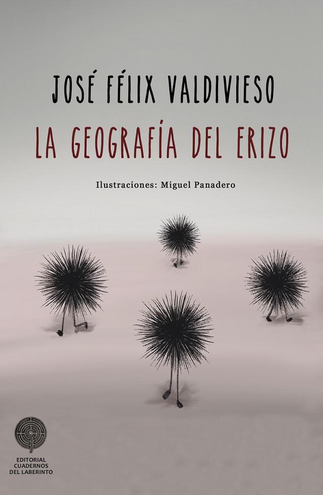 GEOGRAFÍA DEL ERIZO, LA | 9788412130935 | VALDIVIESO, JOSE FELIX