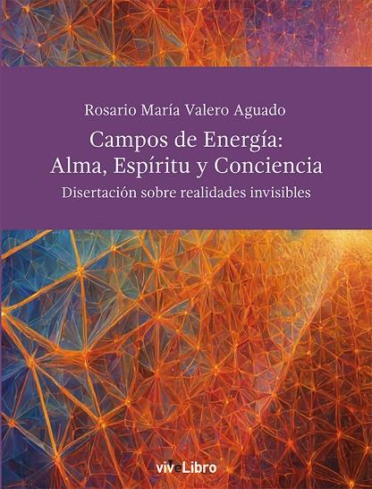 CAMPOS DE ENERGÍA : ALMA, ESPÍRITU Y CONCIENCIA. DISERTACIONES SOBRE LAS REALIDADES NO VISIBLES | 9788419845900 | VALERO AGUADO, ROSA