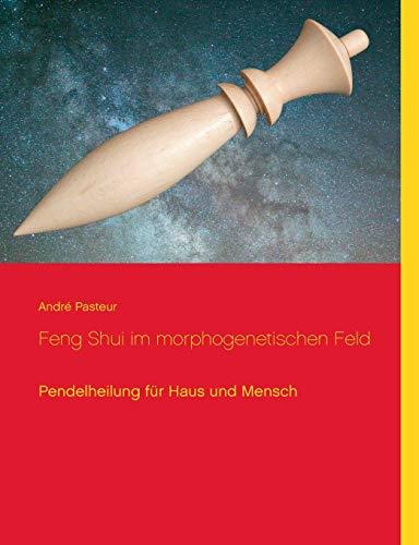 FENG SHUI IM MORPHOGENETISCHEN FELD | 9783751930802 | PASTEUR, ANDRE