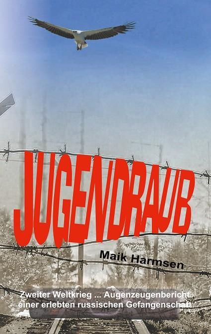 JUGENDRAUB | 9783744809122 | HARMSEN, MAIK