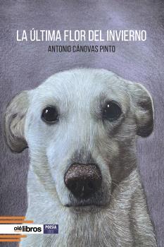 ÚLTIMA FLOR DEL INVIERNO, LA | 9788419589859 | CÁNOVAS PINTO, ANTONIO
