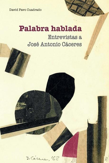 PALABRA HABLADA | 9788491272335 | PAVO CUADRADO, DAVID