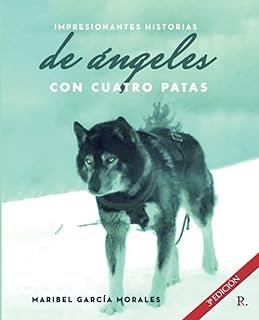 IMPRESIONANTES HISTORIAS REALES DE ÁNGELES CON CUATRO PATAS | 9788419074966 | GARCÍA MORALES, MARIBEL