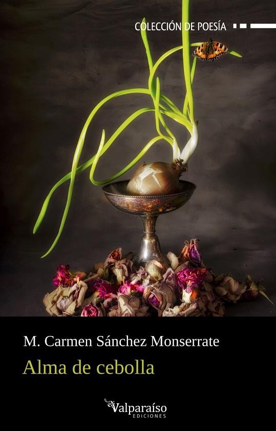 ALMA DE CEBOLLA | 9791387538873 | SANCHEZ MONSERRATE, M. CARMEN