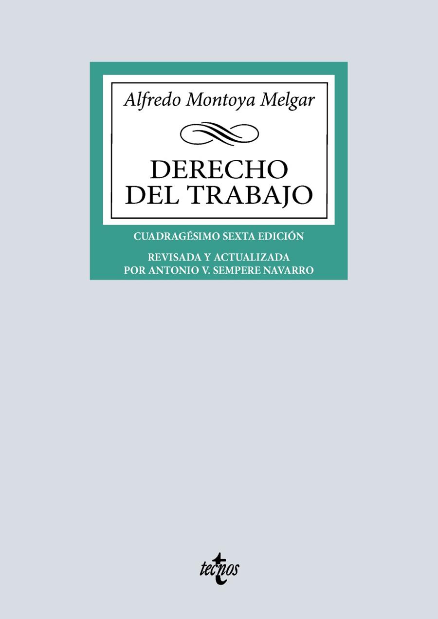 DERECHO DEL TRABAJO | 9788430992621 | MONTOYA MELGAR, ALFREDO