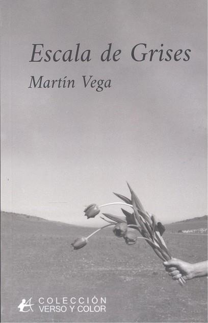 ESCALA DE GRISES | 9788419899927 | VEGA, MARTIN