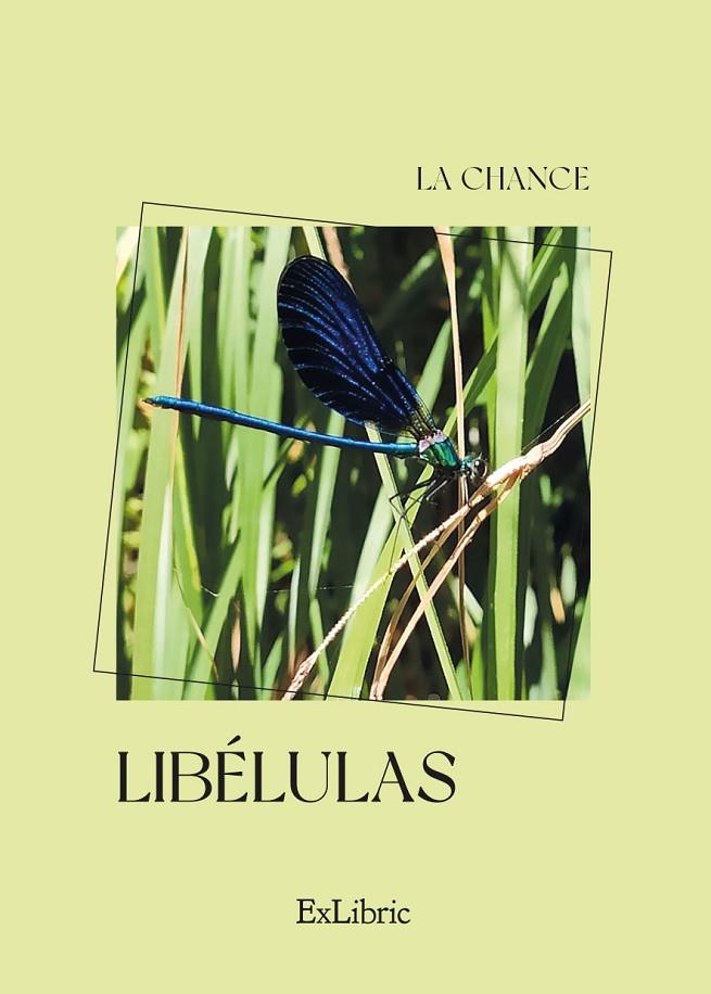 LIBÉLULAS | 9788418912504 | LA CHANCE