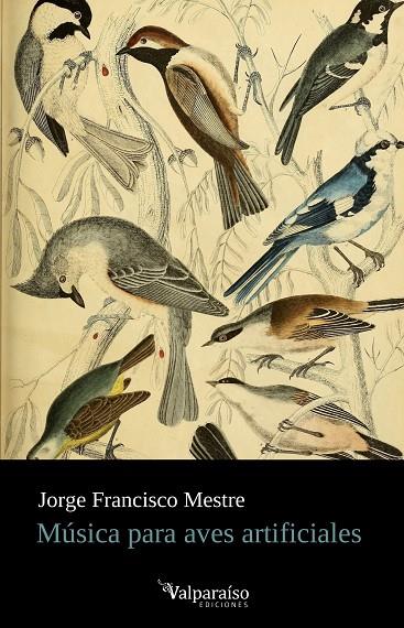 MÚSICA PARA AVES ARTIFICIALES | 9788418694691 | MESTRE, JORGE FRANCISCO
