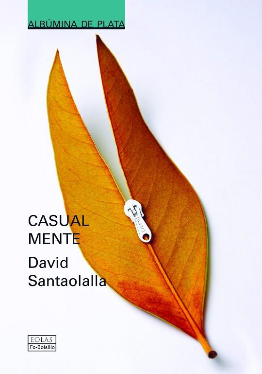 CASUAL MENTE | 9788410057203 | SANTAOLALLA, DAVID