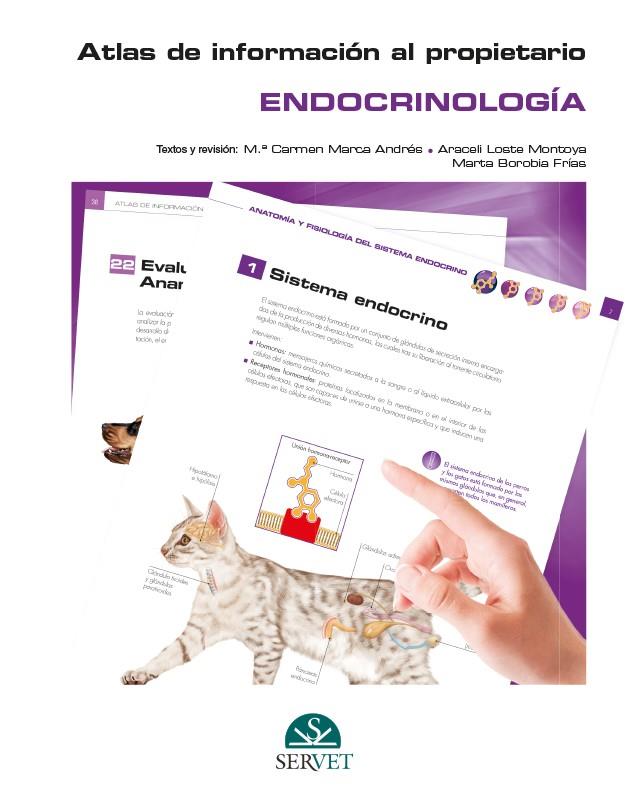 ATLAS DE INFORMACION AL PROPIETARIO. ENDOCRINOLOGIA | 9788418020247 | MARCA ANDRES, Mª CARMEN