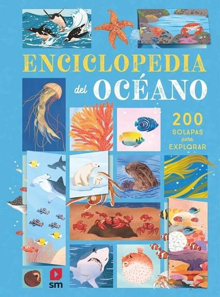 ENCICLOPEDIA DEL OCÉANO | 9788410553903 | DE LA BEDOYERE, CAMILLA