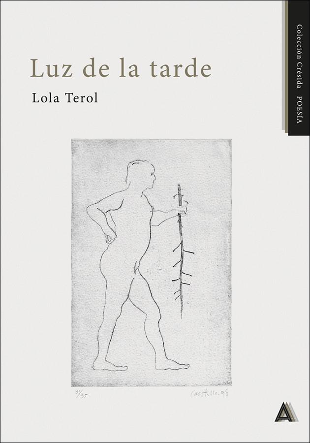 LUZ DE LA TARDE | 9788410374584 | TEROL, LOLA