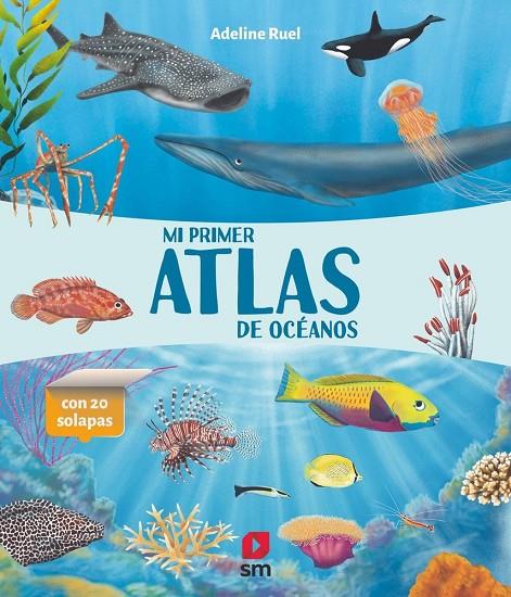MI PRIMER ATLAS DE OCÉANOS | 9788410552579 | RUEL, ADELINE
