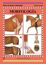 MORFOLOGÍA | 9788425513695 | HENRIQUES, PEGOTTY