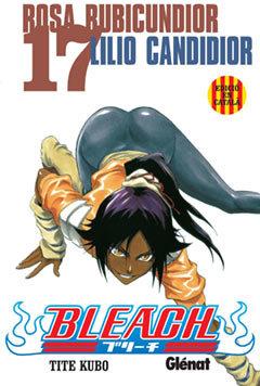 BLEACH 17 | 9788483574898 | KUBO, TITE