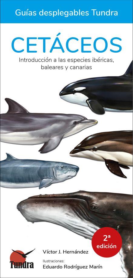 CETÁCEOS. INTRODUCCIÓN A LAS ESPECIES IBÉRICAS, BALEARES Y CANARIAS | 9788418458095 | HERNÁNDEZ, VICTOR J.
