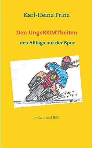 DEN UNGEREIMTHEITEN DES ALLTAGS AUF DER SPUR | 9783749429189 | PRINZ, KARL-HEINZ