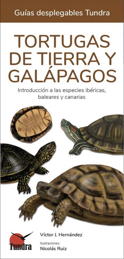 TORTUGAS MARINAS. GUÍAS DESPLEGABLES TUNDRA | 9788419624062 | HERNÁNDEZ, VÍCTOR J.