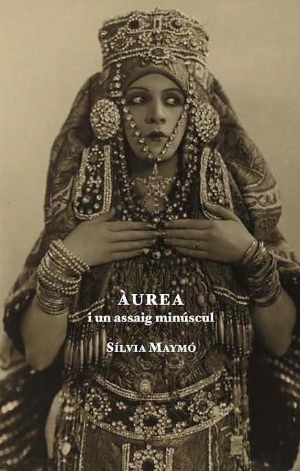 ÀUREA I UN ASSAIG MINÚSCUL | 9791399150827 | MAYMO CAPDEVILA, SILVIA