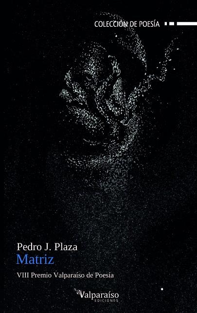 MATRIZ | 9788419347466 | PLAZA, PEDRO J.
