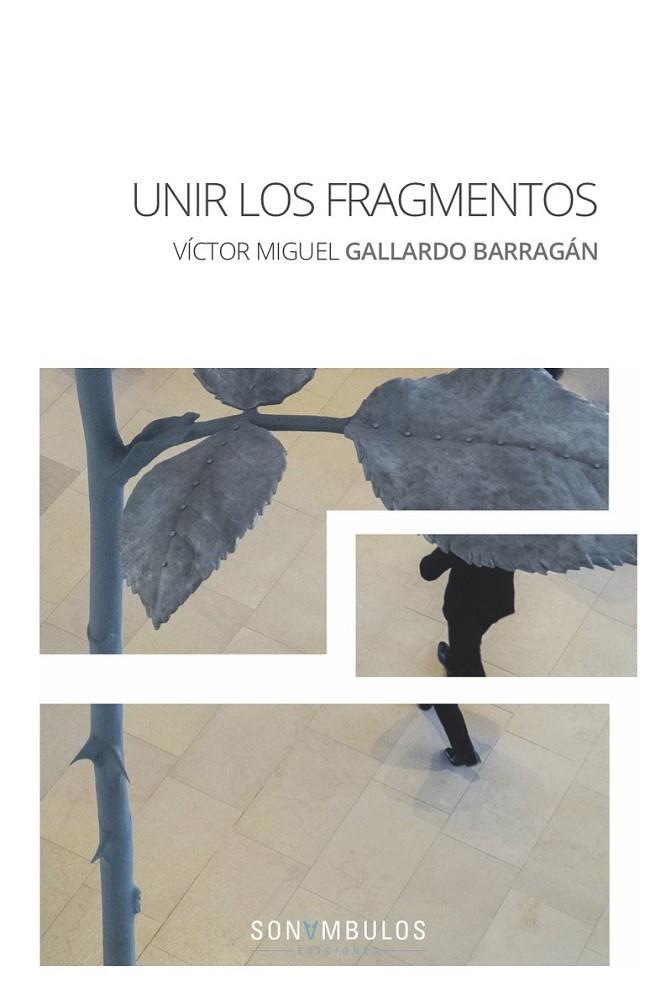 UNIR LOS FRAGMENTOS | 9788412037401 | GALLARDO BARRAGAN, VICTOR MIGUEL