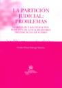 PARTICIÓN JUDICIAL, LA : PROBLEMAS | 9788498761573 | GÓMEZ-SALVAGO SÁNCHEZ, CECILIA