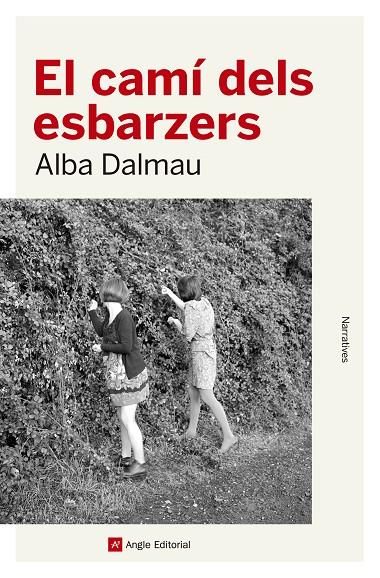 CAMÍ DELS ESBARZERS, EL | 9788417214562 | DALMAU, ALBA