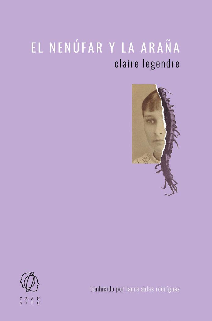 NENUFAR Y LA ARAÑA, EL | 9788494909535 | LEGENDRE, CLAIRE