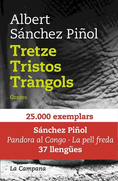 TRETZE TRISTOS TRÀNGOLS | 9788416863082 | SÁNCHEZ PIÑOL, ALBERT