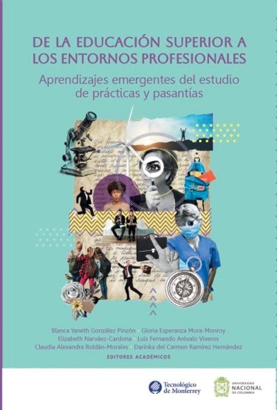 DE LA EDUCACIÓN SUPERIOR A LOS ENTORNOS PROFESIONALES | 9786075017891 | MORA-MONROY, GLORIA ESPERANZA