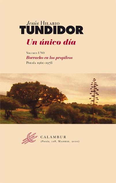 ÚNICO DÍA, UN | 9788483591482 | HILARIO TUNDIDOR, JESÚS