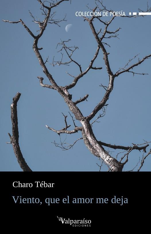 VIENTO, QUE EL AMOR ME DEJA | 9788419347091 | TEBAR, CHARO